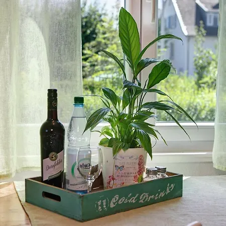 Appartement Haus Rosi Friedrichshafen